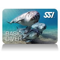 Basic-Diver-card