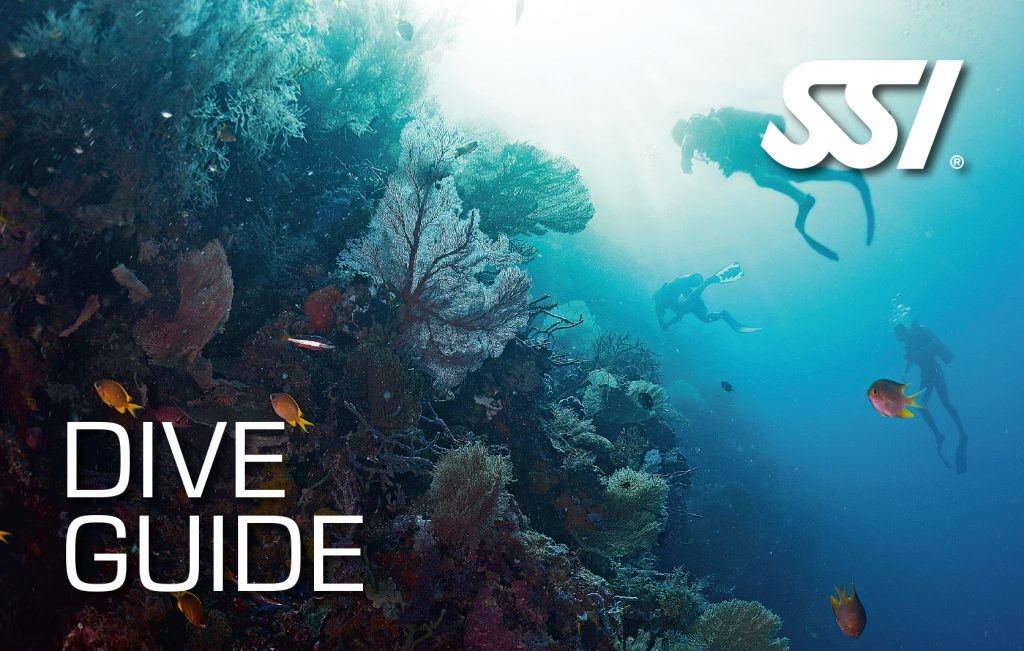 Dive-Guide