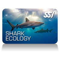 Shark-Ecology-card