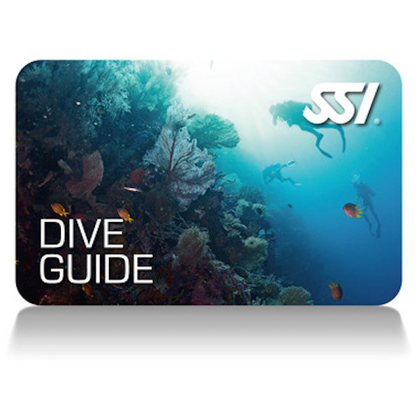 Dive-Guide-card