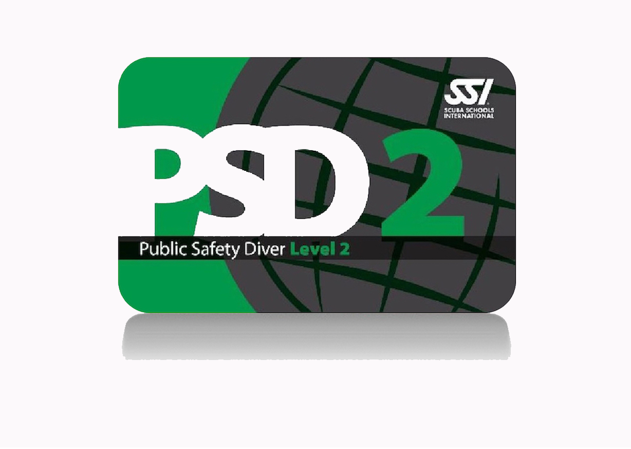 PSD-Nivel-2-card
