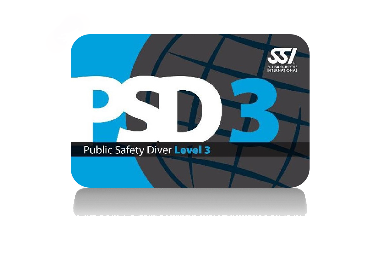 PSD-Nivel-3-card